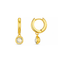 Crystal Earrings
