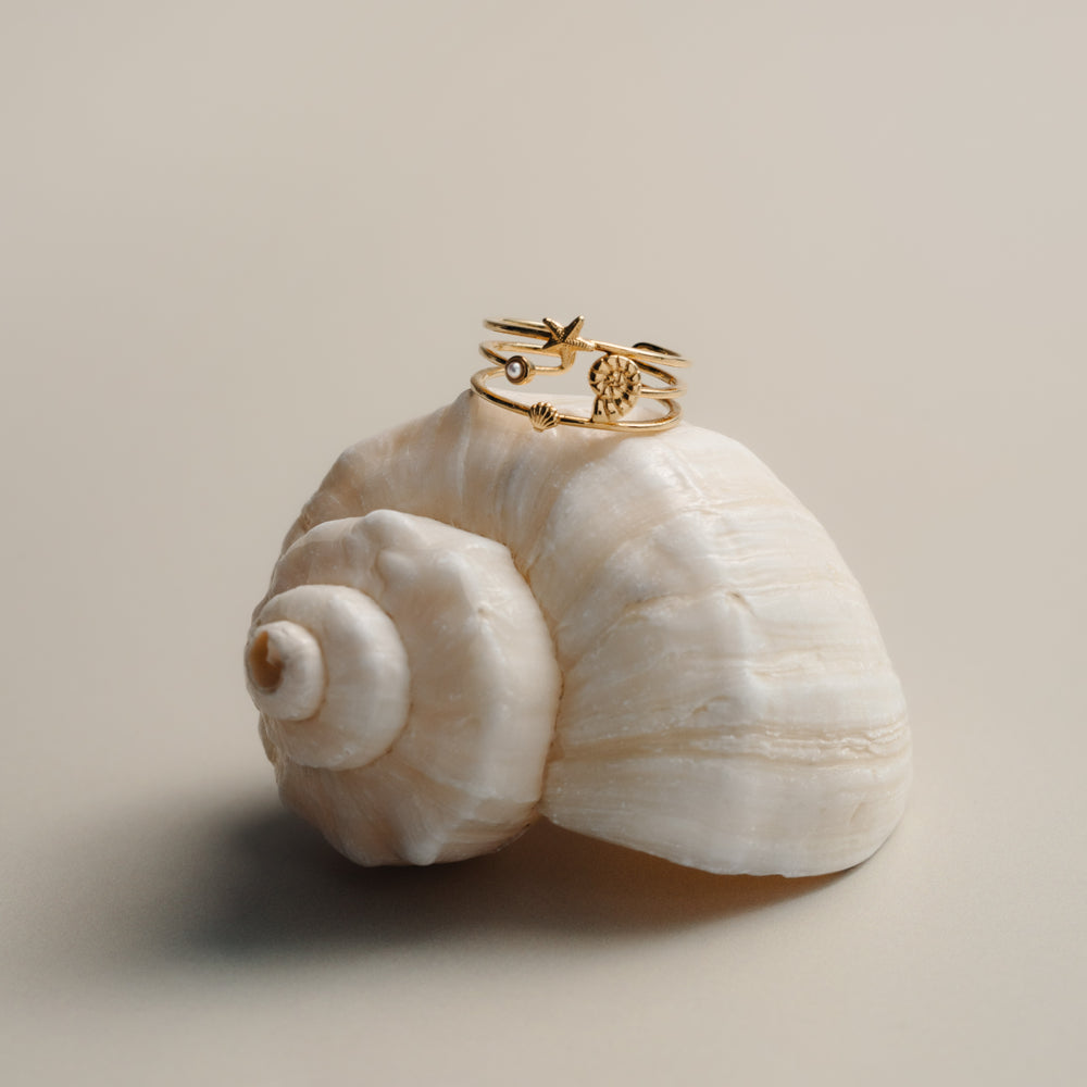 Adjustable Rings Coast Coastal Open Caged Adjustable Ring