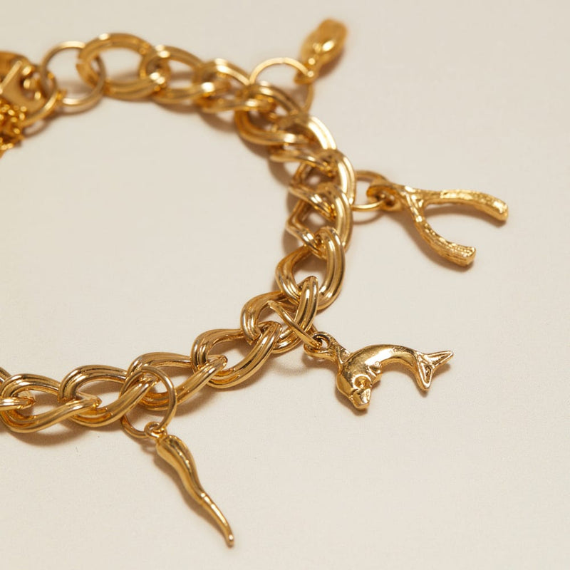 Charm Bracelet Vintage Mixed Charm Bracelet Orelia Jewellery
