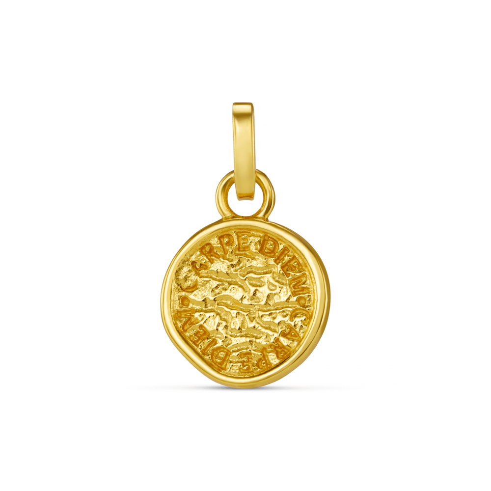 Charms LUXE Coin Charm Orelia Jewellery