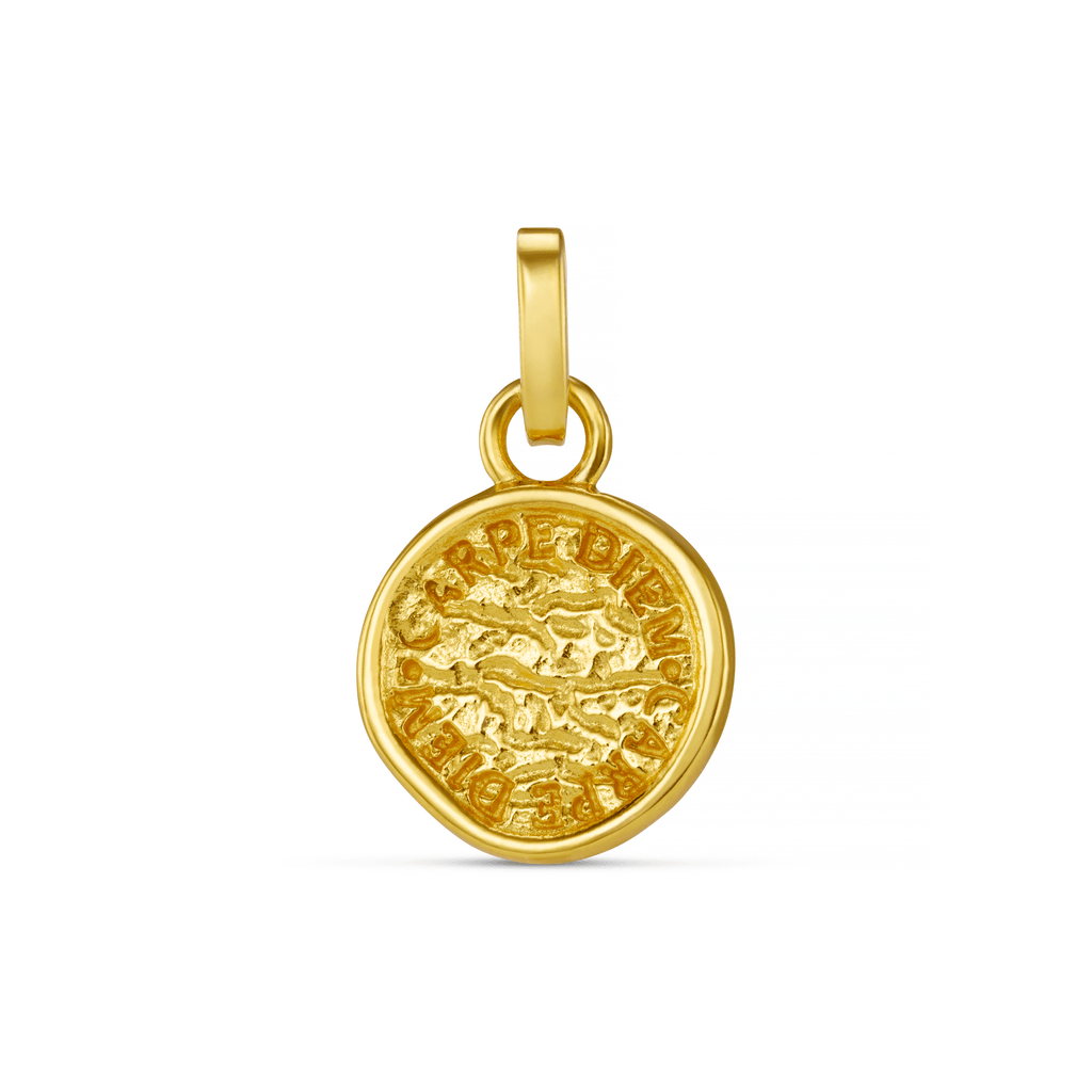 Coin Charm
