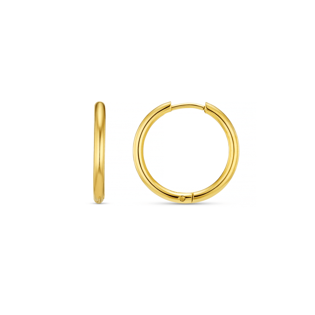 Mid Hoop Earrings