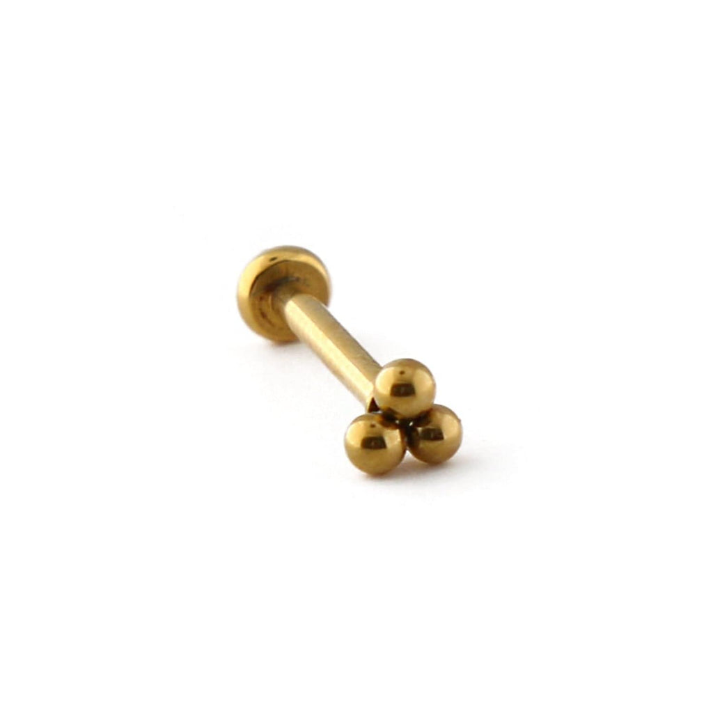 Trinity Cluster Labret